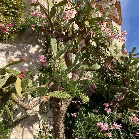 Wunderschoene In Jugendstilvilla Am Hafen Νίκαια