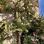 Wunderschoene In Jugendstilvilla Am Hafen ניס