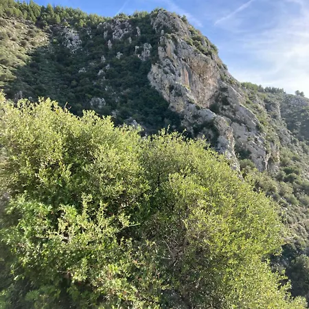 Wunderschoene In Jugendstilvilla Am Hafen Nizza